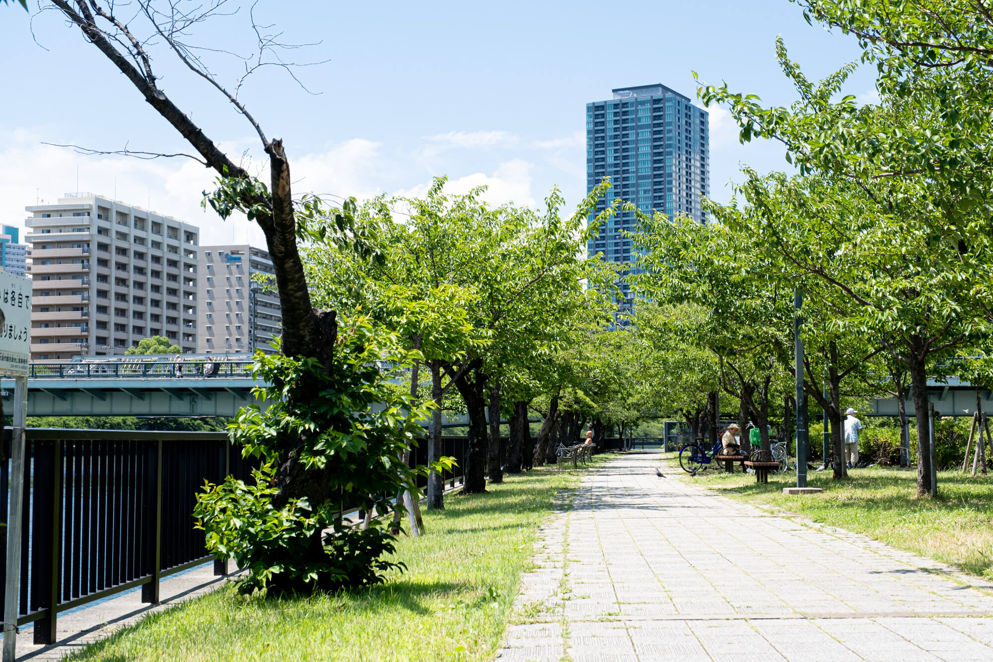 人とは違う写真を取りたいなら 大阪の撮影スポット桜ノ宮公園がおすすめ クリエイティブな旅を作るメディア Neo Osaka